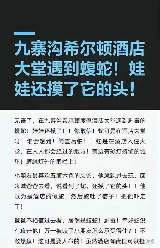对对配 九寨沟一酒店大堂惊现毒蛇! 小孩以为是假蛇, 还去摸了蛇头......