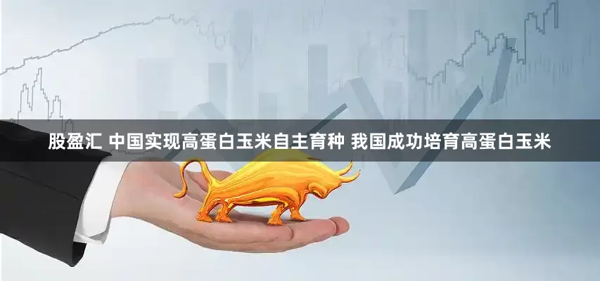 股盈汇 中国实现高蛋白玉米自主育种 我国成功培育高蛋白玉米